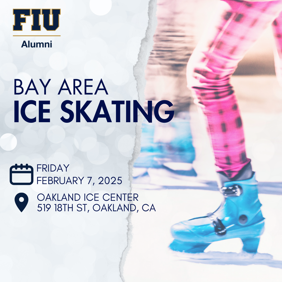 Bay Ice Skating